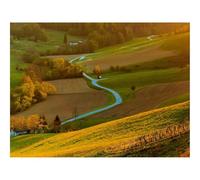 1000 Pezzi Puzzle,Idea Regalo Adulti-Campo,fiume,foreste 70x50cm