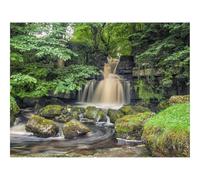 1000 Pezzi Puzzle,Idea Regalo Adulti-Cascata,Rocce,Fiume,Alberi,Natura,Paesaggio 70x50cm