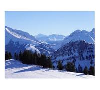 1000 Pezzi Puzzle,Idea Regalo Adulti-Montagne,Alberi,Neve,Natura,Paesaggio 70x50cm