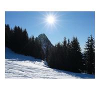 1000 Pezzi Puzzle,Idea Regalo Adulti-Montagne,Alberi,Neve,Raggi,Sole,Natura 70x50cm