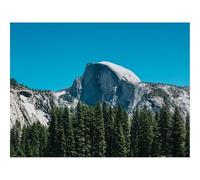 1000 Pezzi Puzzle,Idea Regalo Adulti-Montagne,Rocce,Abete,Erba,Natura 70x50cm