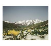 1000 Pezzi Puzzle,Idea Regalo Adulti-Montagne,Valle,Fiori,Estate,Paesaggio,Natura 70x50cm