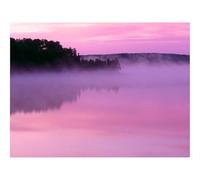1000 Pezzi Puzzle,Idea Regalo Adulti-Nebbia,distanza,natura 70x50cm