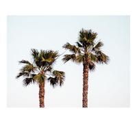 1000 Pezzi Puzzle,Idea Regalo Adulti-Palme,cielo,minimalismo,natura 70x50cm