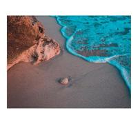 1000 Pezzi Puzzle,Idea Regalo Adulti-Spiaggia,onda,mare 70x50cm