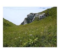 1000 Pezzi Puzzle,Idea Regalo Adulti-Valle,Verde,Rocce,Paesaggio,Natura 70x50cm