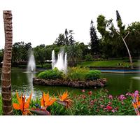 1000 Pezzi Puzzle,Jigsaw Puzzle per Adulti - Fontana stagno giardino 75x50cm