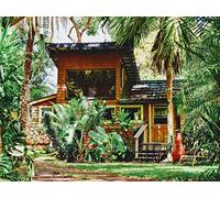 1000 Pezzi Puzzle,Puzzle per Gioco Familiare - Piante di palma da casa 75x50cm