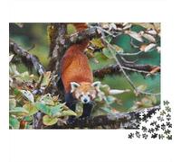 1000 Pezzi Puzzle, Red Panda, Adulti, Arredamento Per La Casa, Giochi Di Rilassamento E Intelligenza, Per Gioco Familiare 1000pcs (75x50cm)