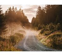 1000 Pezzi Puzzle,Regalo per Amore e Amico - Alberi stradali nebbia 75x50cm