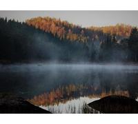 1000 Pezzi puzzle,Regalo per Amore e Amico - Lago foreste nebbia 75x50cm