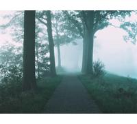 1000 Pezzi Puzzle,Regalo per Amore e Amico - Percorso alberi nebbia 75x50cm