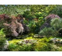 1000 Pezzi Puzzle,Regalo per Amore e Amico - Vegetazione del ponte dello stagno 75x50cm