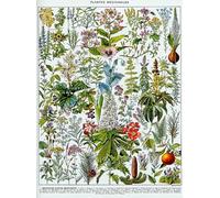 1000 Pezzi Puzzle,Retro Plants Illustrations,Per Giocattoli Sfida Personalizzati Per Adulti,Giochi Per La Riduzione Dello Stress In Famiglia,Arredamento Per La Casa Fw461Zw