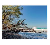 1000 Pezzi Puzzles für Erwachsene und Kinder-Costa,ramo,secco 70x50cm