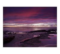 1000 Pezzi Puzzles für Erwachsene und Kinder-Costa,Spiaggia,Mare,Orizzonte,Viola 70x50cm
