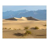 1000 Pezzi Puzzles für Erwachsene und Kinder-Deserto,colline,sabbia 70x50cm