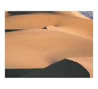 1000 Pezzi Puzzles für Erwachsene und Kinder-Deserto,dune,vista aerea 70x50cm