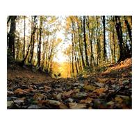 1000 Pezzi Puzzles für Erwachsene und Kinder-Foglia,foreste,rami,alberi 70x50cm