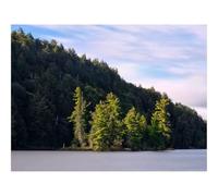 1000 Pezzi Puzzles für Erwachsene und Kinder-foreste,alberi,lago,isola,paesaggio 70x50cm