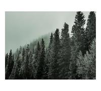 1000 Pezzi Puzzles für Erwachsene und Kinder-foreste,alberi,strada,svolta,nebbia,natura 70x50cm