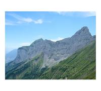 1000 Pezzi Puzzles für Erwachsene und Kinder-Montagne,Pendio,Erba,Natura,Alberi 70x50cm