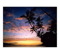 1000 Pezzi Puzzles für Erwachsene und Kinder-Palme,Costa,Silhouette,Mare,Cielo,Sera 70x50cm