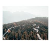 1000 Pezzi Puzzles für Erwachsene und Kinder-Ponte,strada,foreste,alberi,montagne,nebbia 70x50cm