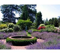 1000 Piece Jigsaw Puzzles per Adulti e Bambini da 14 anni - Fontana da giardino fiori 75x50cm