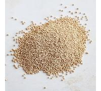 1000 Semi di Amaranto - SemiSelvaggio Permacultura