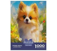 1000 Teile Pommern Puzzle Perfekt Für Spieleabende Wunderschönes Dekoration Herausforderndes Netter Hund Puzzle Für Erwachsene Und Kinder 70x50cm/1000pcs