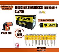 1000 x chiodi Vesta GSS + 2 x gas Pulsa700/ Pulsa800 (chiodi spit) (C6 30 mm, Pulsa 700)