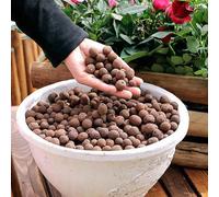 1000g/500g/100g Palline di argilla espansa premium, palline di argilla Leca per piante, ceramsite per terreno, palline di Leca per piante da interno, palline di argilla per piante, palline di Leca, pa
