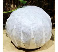 1000g Yunnan Pu-Erh Tè Al Melone Dorato Tea Omaggio Pu-Erh Crudo Tea Tuo Puer Tè Erh Tee Pu'er Cinese Cibo Verde Di Alberi Secolari Fermentazione PuErh in Foglie Sfuse Te Bollito