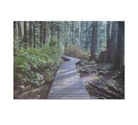 1000pcs(38x26cm) Puzzle Per Adolescenti Path to The Forest Canada Puzzle Per Adulti, Gioco Rompicapo, Ma Divertente E Spiritoso, Regali Per Amici E Familiari 1000pcs(38x26cm)