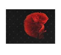 1000pcs(38x26cm) Puzzle Per Adolescenti Red Betta Fish Puzzle Per Adulti Gioco Pratico Assemblaggio Di Modelli Regali Unici Per Compleanni E Occasioni Speciali 1000pcs(38x26cm)