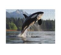 1000pcs(38x26cm) Puzzle Per Adulti Puzzle Majestic Orca Whale Killer Puzzle Per Adulti Giochi Rilassanti Corsa Di Velocità Manuale Regalo Di Compleanno, Regali, 1000pcs(38x26cm)
