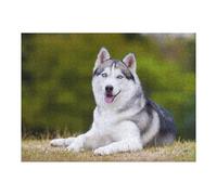 1000pcs(52x38cm) Puzzle Per Adolescenti Puzzle Husky Cute Poster Puzzle Giochi Divertenti Decorazione Murale Regali Unici Per Compleanni 1000pcs(52x38cm)