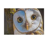 1000pcs(75x50cm) Puzzle Per Adolescenti Barn Owl Close-Up Puzzle Per Adulti, Gioco Rompicapo, Ma Divertente E Spiritoso, Regali Per Amici E Familiari 1000pcs(75x50cm)