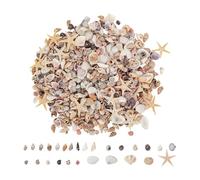 1000PCS Natural Mini Seashells And Seashells Mix, 20 Types Bulk Tiny Shells