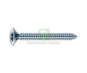 1000PZ VITE AUTOFILETTANTE T.S.P. TSP MM 2,9 X 19: