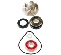 100110180 - KIT REVISIONE POMPA ACQUA 'RMS' PER HONDA 150 PANTHEON 2T 1998-2002