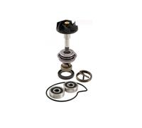 100110210 KIT REVISIONE POMPA ACQUA GILERA Oregon 250 2006 2007 2008