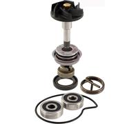 Rms Piaggio Beverly 250-300cc 100110210 Water Pump Rebuild Kit Argento