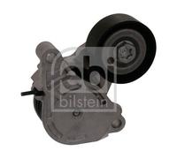 100169 FEBI BILSTEIN Tendicinghia, Cinghia Poly-V per BMW,MINI
