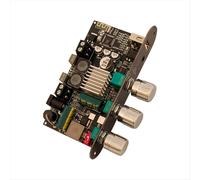 -1001U DC 9-24V Mono 100W BT Amplificatore Scheda Modulo Supporta Chip Amplificatore APP TPA3116D2 Presa Femmina 5.5 X 2.1 Porta