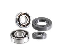 100200565 Kit revisione albero motore RMS Derbi 50cc