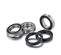 100203038 Kit cuscinetti ruota posteriore Factory Links Yamaha YZF 250/450