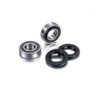 100203039 Kit cuscinetti ruota posteriore Factory Links Kawasaki KX
