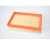 100605025 - FILTRO ARIA CAF6915 R 1200 GS DAL 2013 AL 2017